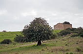 Sicily, the Iblei landscape 